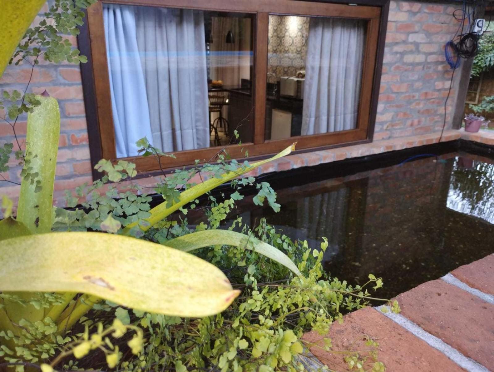 Casa Da Lagoa - Gasthaus بوميرودي المظهر الخارجي الصورة